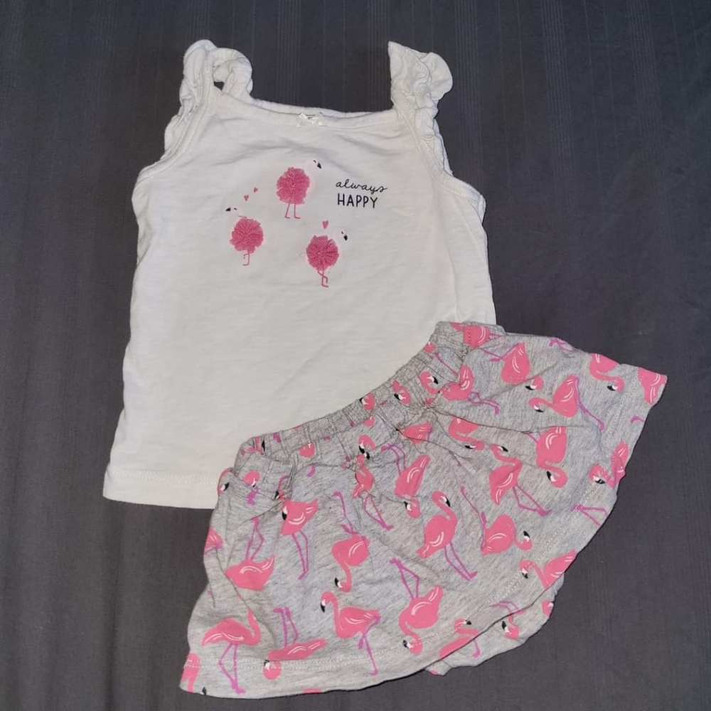Carters 9m outfit